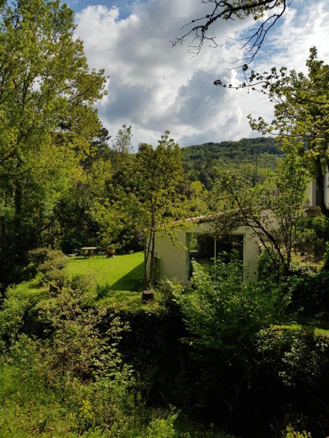 Beautiful Studio Surrounded By Nature Lanet Dış mekan fotoğraf