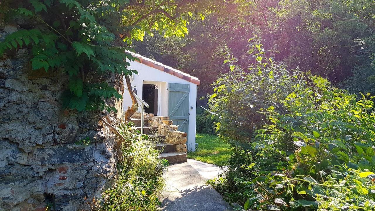 Beautiful Studio Surrounded By Nature Lanet Dış mekan fotoğraf