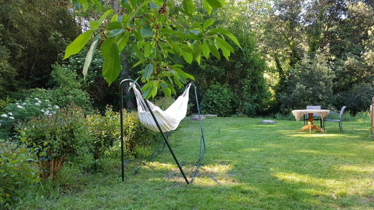 Beautiful Studio Surrounded By Nature Lanet Dış mekan fotoğraf