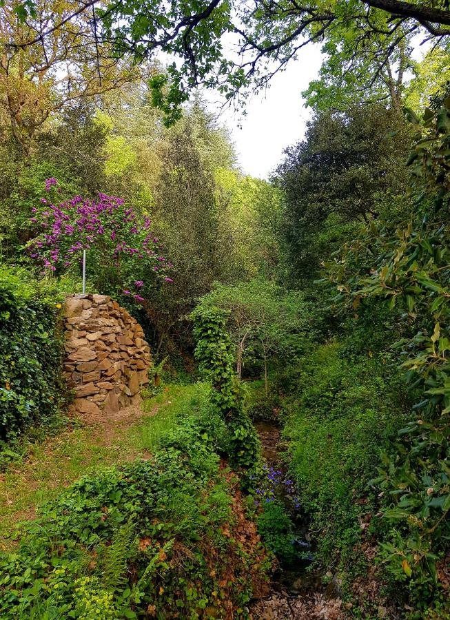 Beautiful Studio Surrounded By Nature Lanet Dış mekan fotoğraf